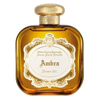 Our impression of Ambra Santa Maria Novella for Unisex Ultra-Premium Perfume Oil (11219) LzM Perfect Match