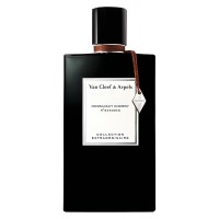 Our impression of Moonlight Cherry Van Cleef & Arpels for Unisex Concentrated Perfume Oil (3266) ARD