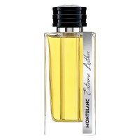 Our impression of Extreme Leather Montblanc for Men Premium Concentrated Perfume Oil (4387) D