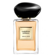 Our impression of Gardénia Antigua Giorgio Armani Unisex Perfume Oil (10090) Ultra Premium Grade Luz