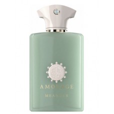 Our impression of Meander Amouage Unisex Ultra Premium Perfume Oil (10201UBT) 