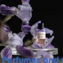 Our impression of Bois d'Argent Dior for Unisex Ultra Premium Perfume Oil (10545)
