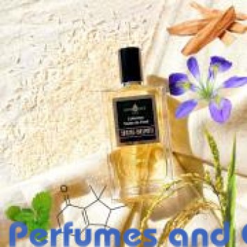 Our impression of Santal Basmati Affinessence for Unisex Ultra Premium Perfume Oil (10673) Lz