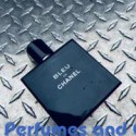 Our impression of Bleu de Chanel Chanel for Men Ultra Premium Perfume Oil (10703)AR