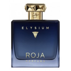Our impression of Elysium Pour Homme Parfum Cologne Roja Dove for Men Ultra Premium Perfume Oil (10743)