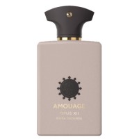 Our impression of Opus XII – Rose Incense Amouage for Unisex Ultra Premium Perfume Oil (11044)Perfect Match