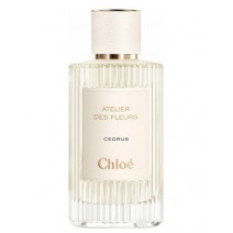 Our impression of Cedrus Chloé Unisex Concentrated Premium Perfume Oil (151338) Luzi