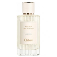 Our impression of Cedrus Chloé Unisex Concentrated Premium Perfume Oil (151338) Luzi