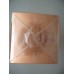 Clinique Simply Perfume Eau De Parfum Spray 100ml/3.4oz NEW IN SEALED BOX 