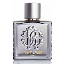 Roberto Cavalli Uomo Silver Essence Roberto Cavalli Generic Oil Perfume 50ML (001960)
