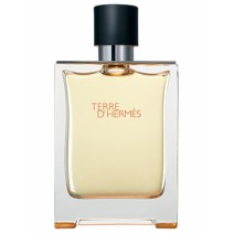 Terre d'Hermes Hermes Generic Oil Perfume 50ML (00533)