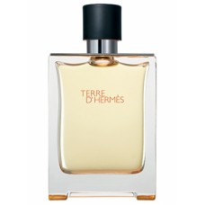 Terre d'Hermes Hermes Generic Oil Perfume 50ML (00533)