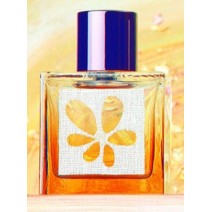 Vanille Fleur M. Micallef  Generic Oil Perfume 50 ML (001182)