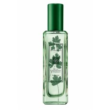 Wild Strawberry & Parsley Jo Malone London Generic Oil Perfume 50 Grams 50 ML (001593)