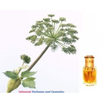 Angelica Essential oil Generic Oil Perfume 50 ML (004129)