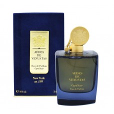 Our impression of Copal Azur Aedes de Venustas unisex Concentrated Perfume Oil (04229)