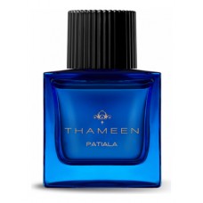 Our impression of Patiala Thameen Unisex Premium Perfume Oil (005739) Premium Luzi