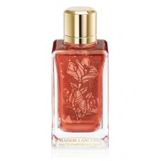 Our impression of Rôses Berberanza Lancome Unisex Concentrated Niche Perfume Oil (05782) "PREMIUM"