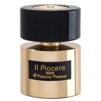 Our impression of Il Piacere 2022 Tiziana Terenzi for Unisex Premium Perfume Oil (6394) LzD