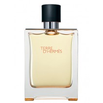 Our impression of Terre d'Hermes Hermes For Men Concentrated Oil Perfume (08100) Premium