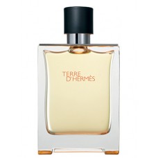 Our impression of Terre d'Hermes Hermes For Men Concentrated Oil Perfume (08100) Premium