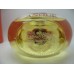 ANOUK BY ANTONIO PUIG E.D.T 75ml RARE HARD TO FIND NEW IN BOX ONLY $159.99