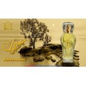 Ghusoon 100 ml Oriental Eau De Parfum By Surrati Perfumes